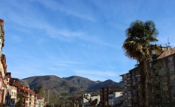 Clínica Dental Olga Martínez Solares