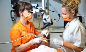 Clínica Dental Clofent