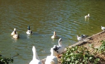 Clínica Parque París