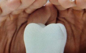 Francisco Javier Pérez Antona