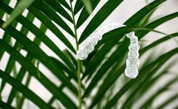 Alineados Clinica dental - Dentista en Arjona