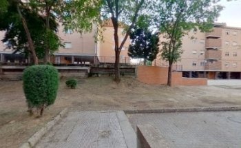 Dentista en Guadalajara