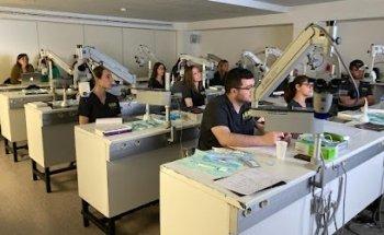Odontología Microscópica | Centro de Formación