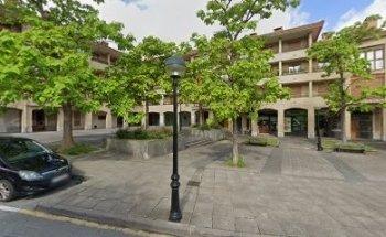 Mª Angeles Mendizabal aho sendagilea