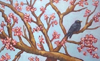 Claudia Caponi Lovera