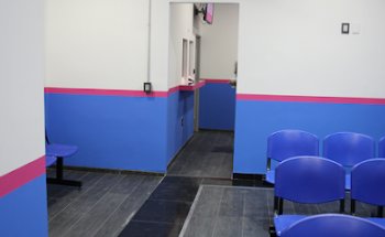 Sonrisas Mexicanas Bellas Artes I