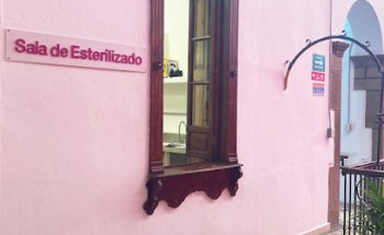 Sonrisas Mexicanas San Luis Potosí