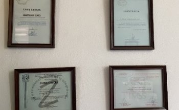 DENTISTA Holistic Dental