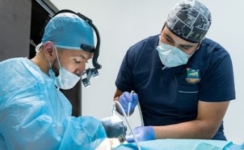 Dental Brush Tijuana