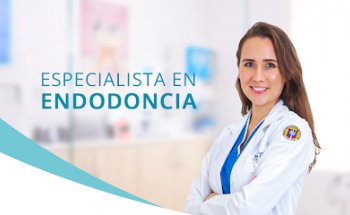 Dra. Paulina Cecco | Dentista en Cancún - Endodoncia