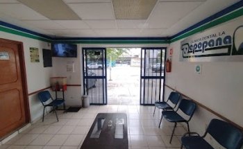 Clínica Dental La Zapopana (Sucursal Polanco)