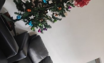 Odontopediatra Cristel Brown