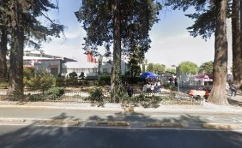 Dental Specialty Center