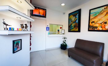 Precisión Dental: Revolución Dental a tu alcance