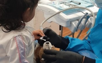 Clinica Dental Nápoles