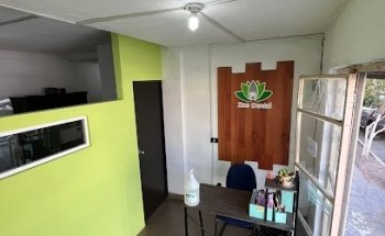 Zoe Dental Saltillo 2000