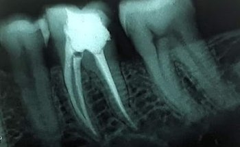 Consultorio Dental | Dentista | Endodoncia | Ortodoncia