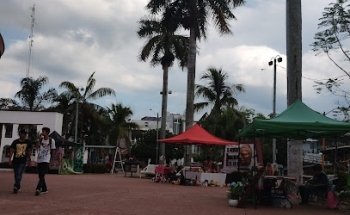 Martinez de ala torre