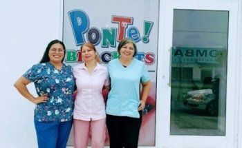 Molares odontología