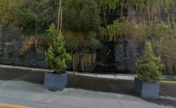 Dra. Catalina Cortés | Ortodoncia y Estética Dental | Invisalign Doctor