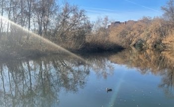 Clínica Dental Adeslas