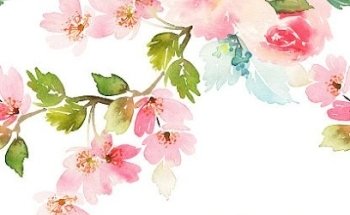 BioDental Clinica Estomatológica