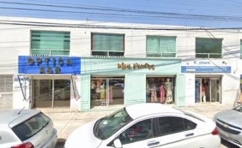 Dra. Leticia Higuera UNAM