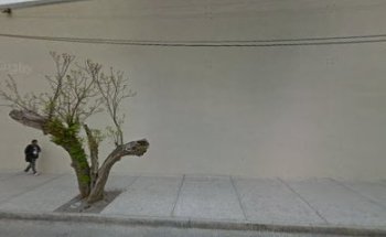 Zona Dental Mall Centro Juarez