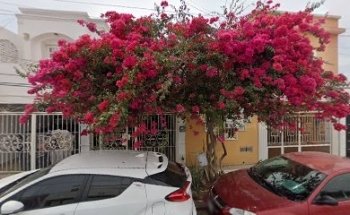 Consultorio Dental Dra. Miriam Rodríguez