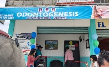 ODONTOGENESIS ll