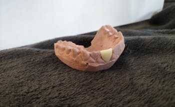 Odontología integral Grados