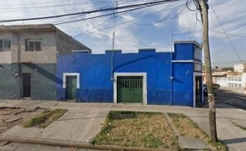 Flores Garibaldo Jose De Jesus