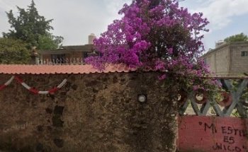 Dental San Francisco Clinica de Especialidades