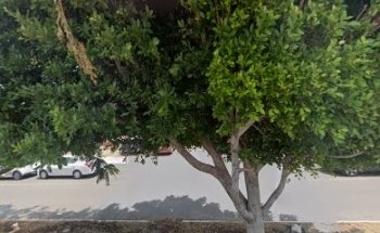 Clínica Estética dental | Perfect Smile International