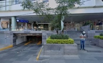 Grupo Dental Punta México