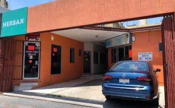 Dra. Laura Saldaña Arteaga - Consultorio Dental