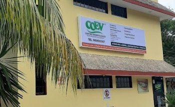 Centro Odontológico Especializado Valladolid (COEV)