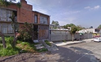 Consultorio Dental Conejo Nejo