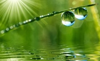 Clínica Dental Yin Yang