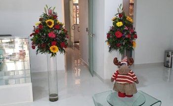 Centro Estomatológico San Juan Bautista