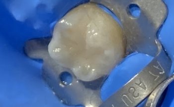 ESPECIALIDADES ODONTOLOGICAS