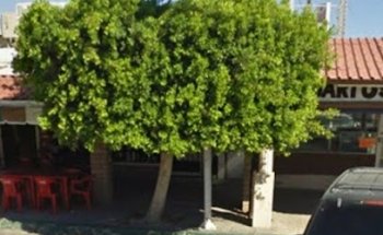 Consultorio Dental Dr. Eduardo Castañeda