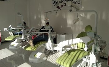 Odontólogos de México