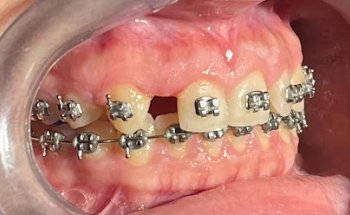 VidaDent by Dra. Daniela Brown