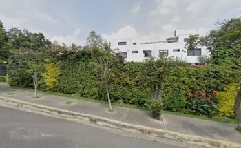 Kameyama Dental Care Ajusco