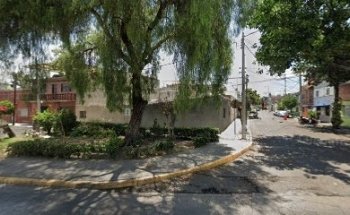 Ureste Concha Juan Antonio