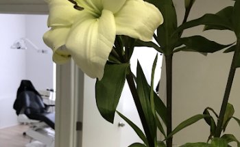 Dentist J Eduardo Gomez