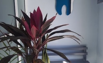 Odontologia Integral