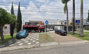 Dental & Orthodontics