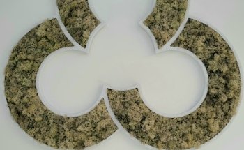 UBB Dental - Clínica Dental Zaragoza